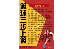 如何提高篮球技能的有效训练方法有哪些:两种策略的差异与最佳选择